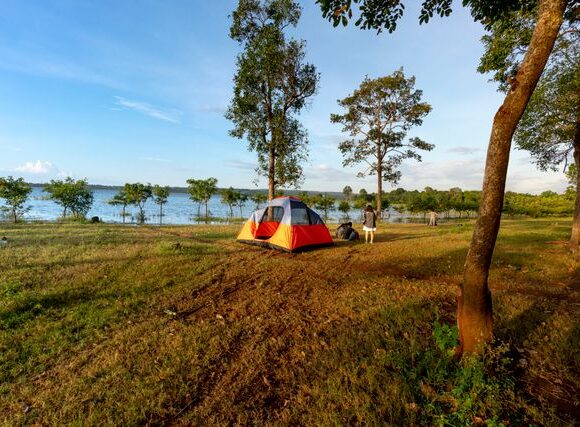 pexels_quang_nguyen_vinh_222549_2582613_palapine_gamta Baigėsi reidai „Poilsiauk atsakingai“: aplinkosaugininkai nustatė 191 pažeidimą