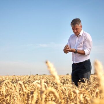 Kitų metų derliaus dar nėra, bet jis – jau parduotas: ekspertas paaiškina, kodėl svarbu užfiksuoti kainas