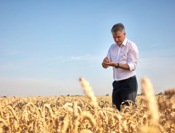 Kitų metų derliaus dar nėra, bet jis – jau parduotas: ekspertas paaiškina, kodėl svarbu užfiksuoti kainas