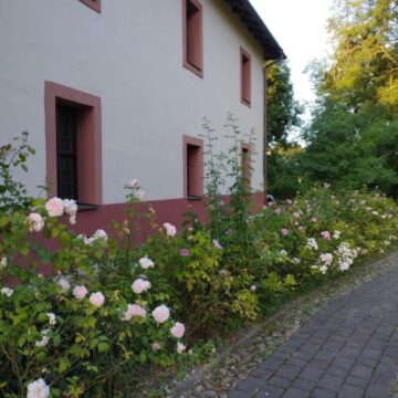 vienuolynas_Senieji_Trakai Kviečiame į talką Senųjų Trakų vienuolyno gėlyne